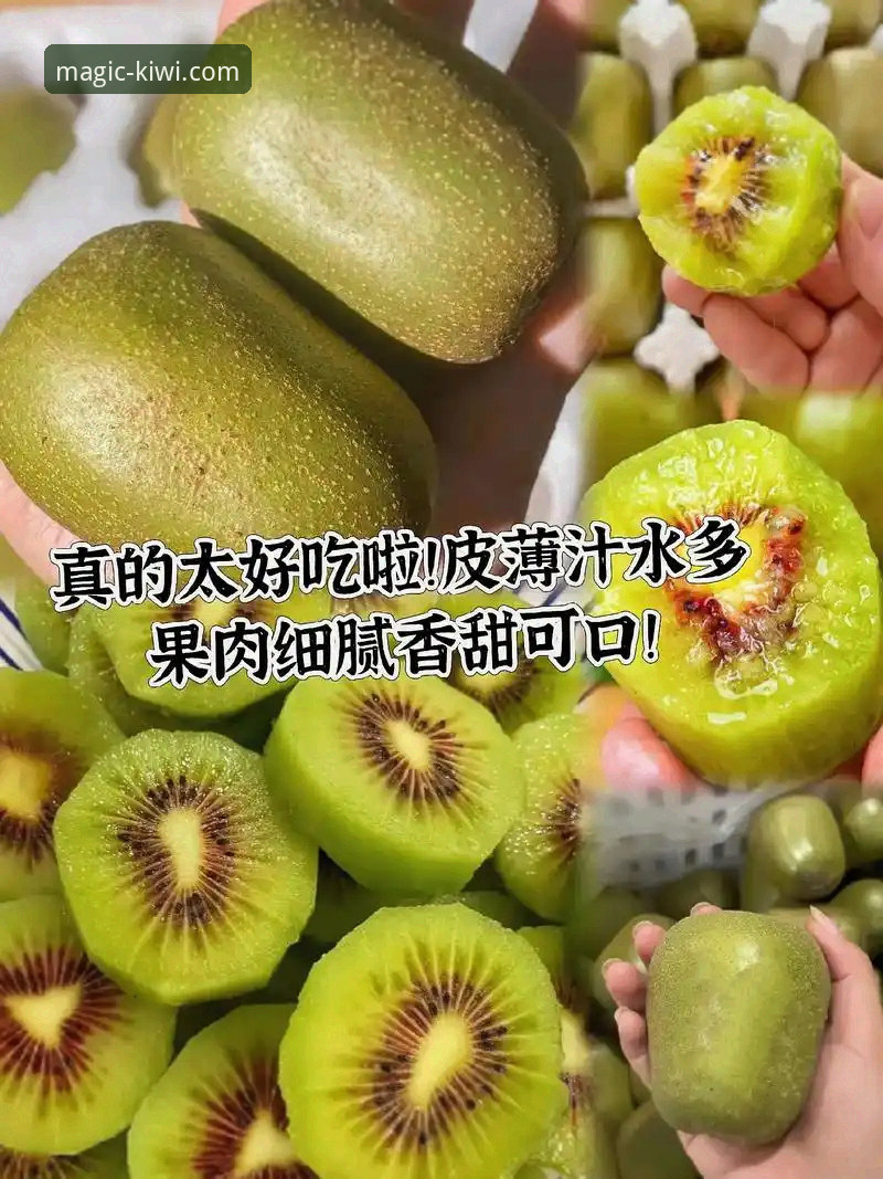 奇异果体育平台使用必备知识：从下载到观赛的全流程实用指南