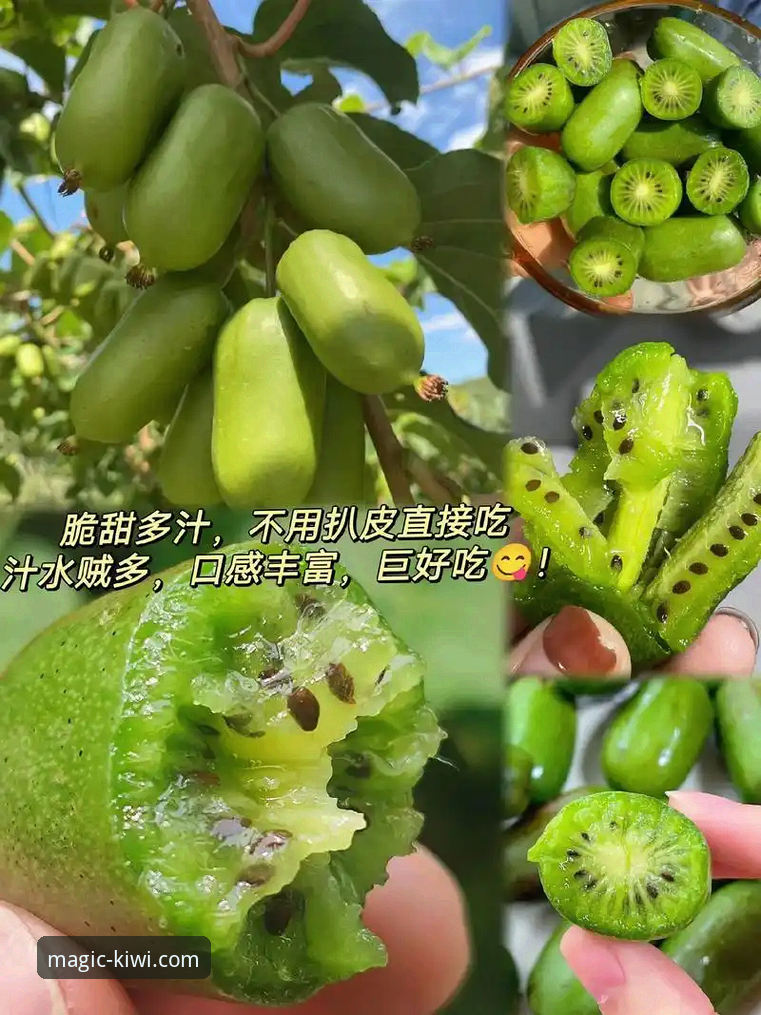 奇异果体育平台使用必备知识：从下载到观赛的全流程实用指南